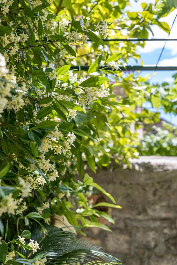 Luxury Apartment Silvana With Beautiful Garden Spalato Esterno foto